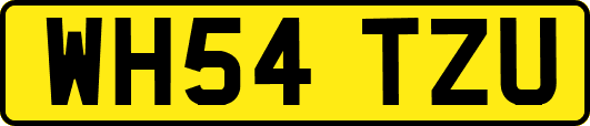 WH54TZU