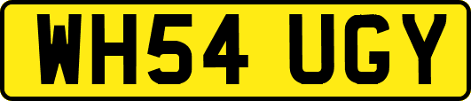 WH54UGY