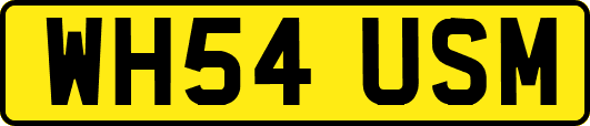 WH54USM
