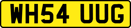 WH54UUG