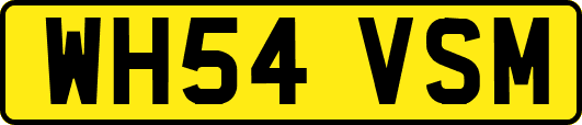 WH54VSM