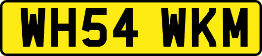 WH54WKM