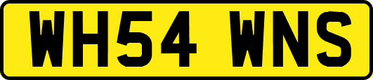 WH54WNS
