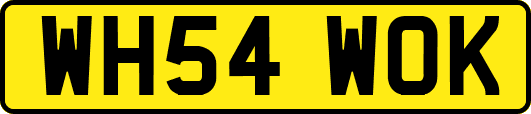WH54WOK