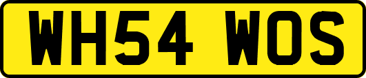WH54WOS