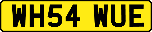 WH54WUE