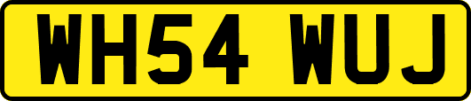 WH54WUJ