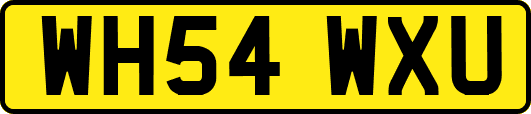WH54WXU
