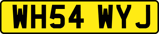 WH54WYJ