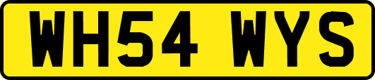 WH54WYS