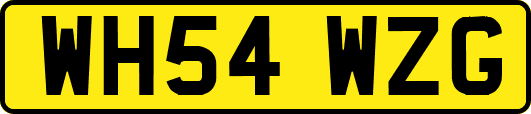 WH54WZG