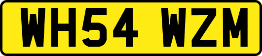 WH54WZM