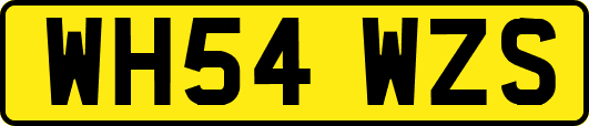 WH54WZS