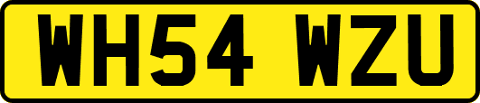 WH54WZU