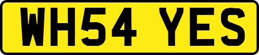 WH54YES