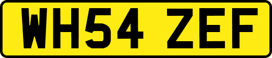 WH54ZEF