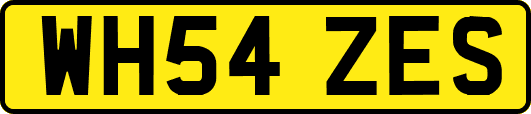 WH54ZES