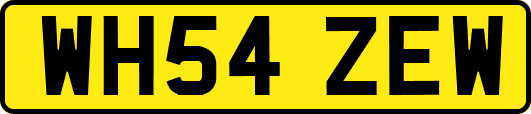 WH54ZEW