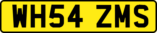 WH54ZMS