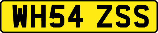 WH54ZSS