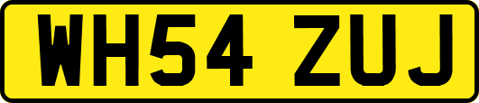 WH54ZUJ