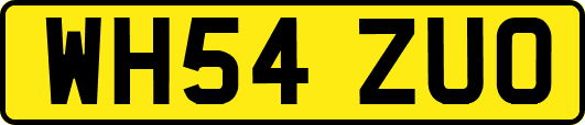 WH54ZUO