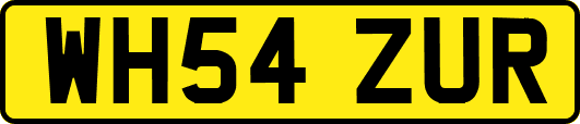 WH54ZUR