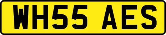 WH55AES