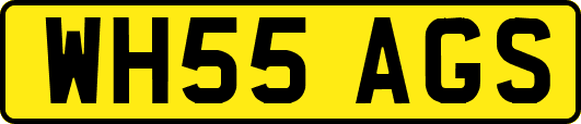 WH55AGS