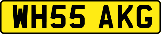 WH55AKG
