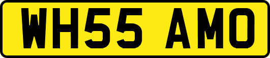 WH55AMO