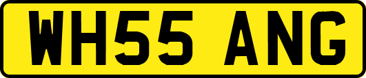 WH55ANG