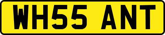 WH55ANT