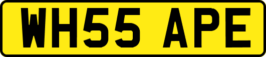 WH55APE