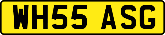 WH55ASG