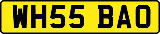 WH55BAO