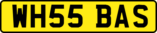 WH55BAS