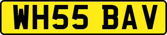 WH55BAV