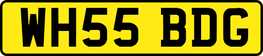 WH55BDG
