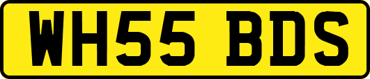 WH55BDS