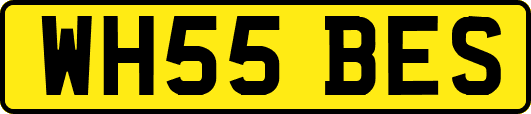 WH55BES