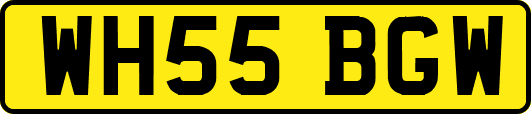 WH55BGW