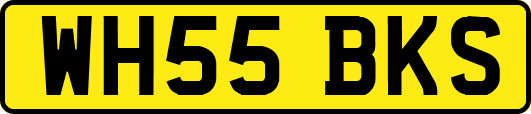 WH55BKS