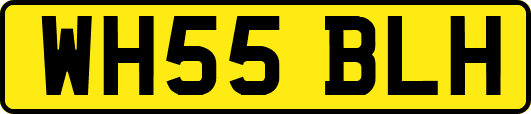WH55BLH