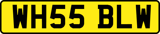 WH55BLW