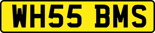 WH55BMS