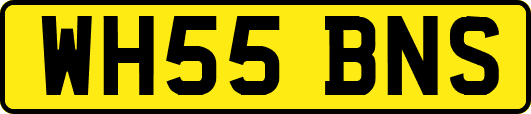 WH55BNS