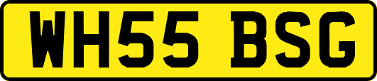 WH55BSG