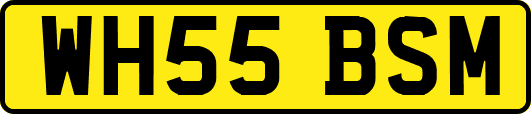WH55BSM