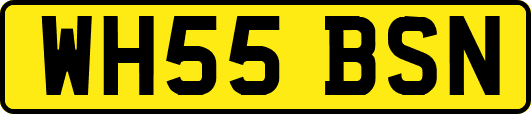 WH55BSN